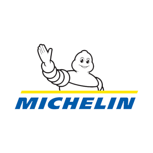 MICHELIN client PROINSEC